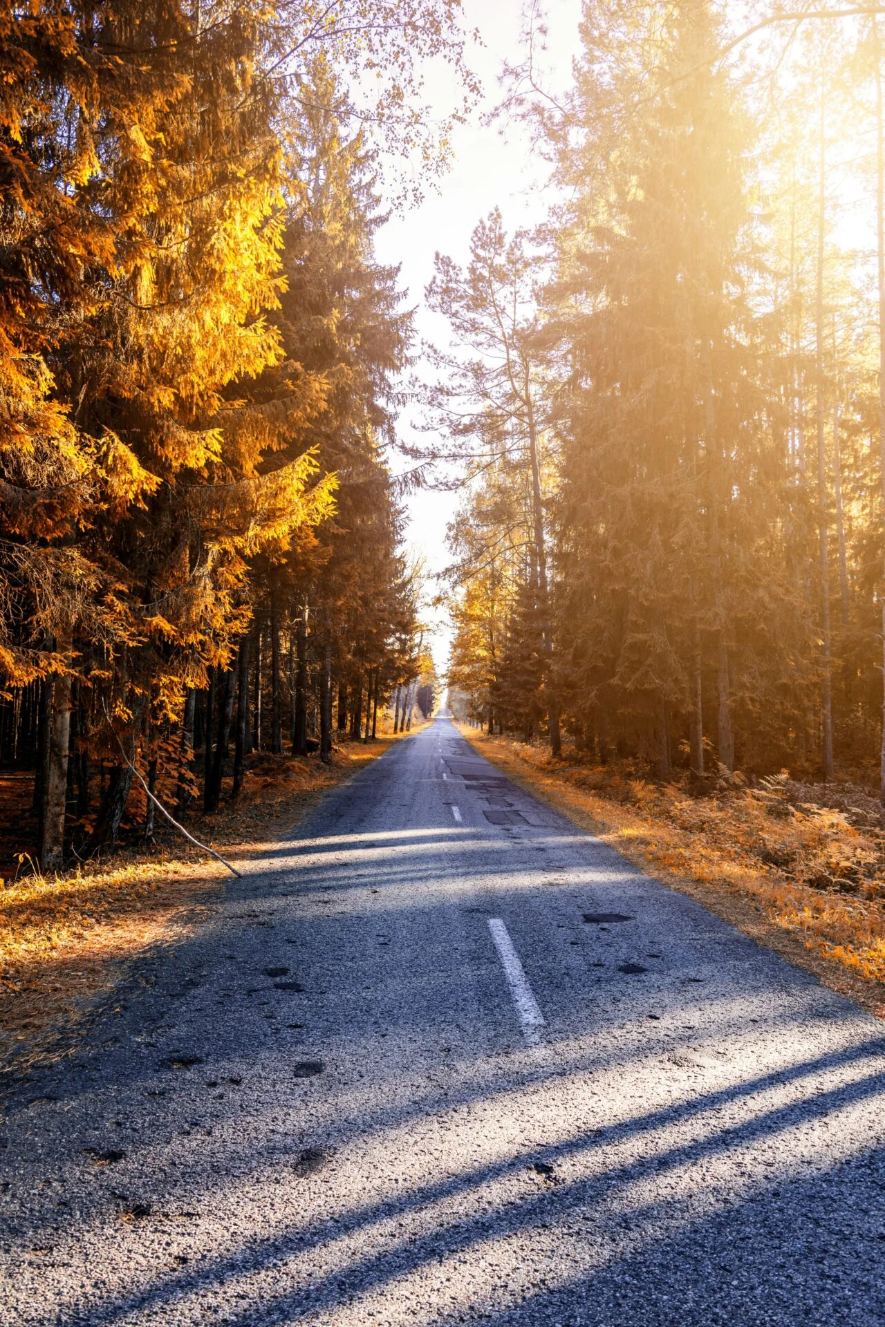 Coaching 4 coaching pathos leadership